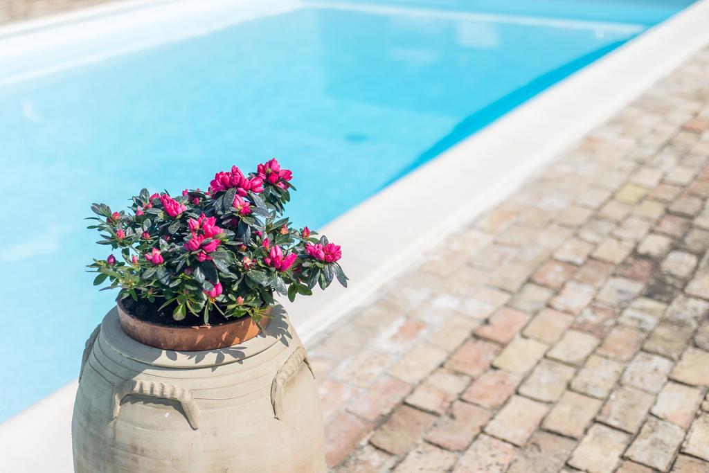 فوساتشيزيا B&B Villa Casone المظهر الخارجي الصورة